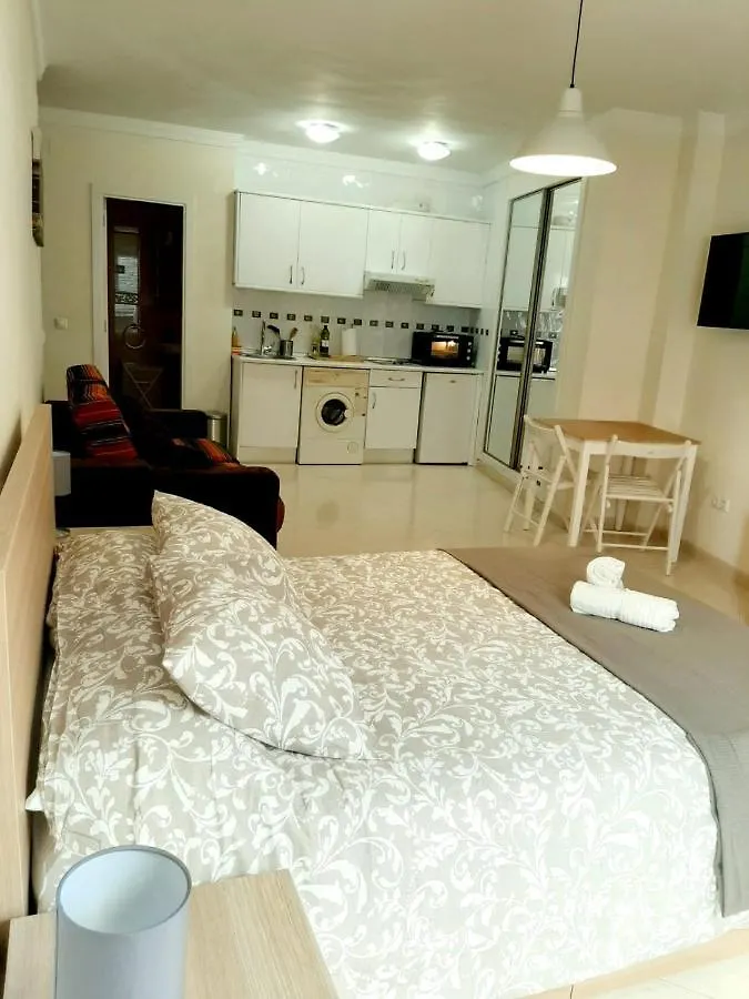 Central Estudio Malaga Apartment